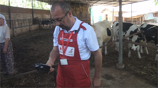 Mobil Tarım Ekibimiz Mastitis Kontrolü Yapıyor