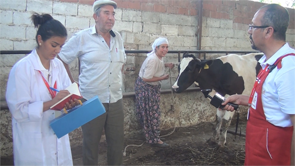 Mobil Tarım Ekibimiz Mastitis Kontrolü Yapıyor